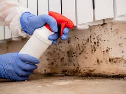 Best Forensic Mold Investigation  in Port Angeles East, WA